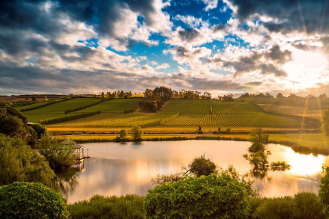 Josef Chromy Wines Winery Tour Including Tasting And Lunch - Accommodation Mooloolaba 3