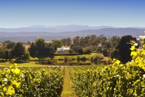Josef Chromy Wines Winery Tour Including Tasting And Lunch - Accommodation Mooloolaba 4