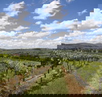 Hunter Valley Wine Tour from Sydney incl Lunch Cheese Chocolate and Distillery - Accommodation Mooloolaba