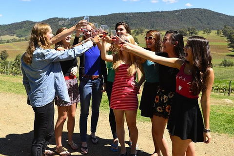 Hunter Valley Wine Tour From Sydney Incl Lunch, Cheese, Chocolate And Distillery - Accommodation Mooloolaba 3