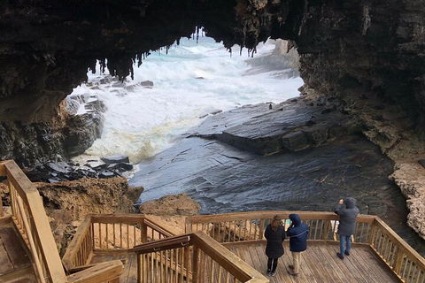 Kangaroo Island 4WD Tour - Best Of KI - Accommodation Mooloolaba 1