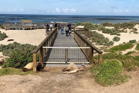 Kangaroo Island 4WD Tour - Best Of KI - Accommodation Mooloolaba 2