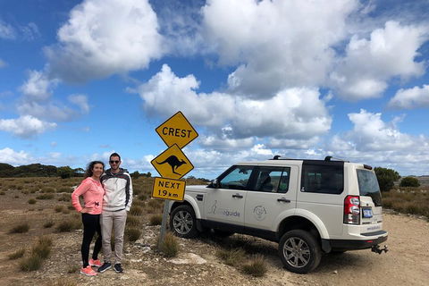 Kangaroo Island 4WD Tour - Best Of KI - Accommodation Mooloolaba 5