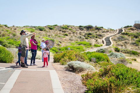 Margaret River Coastal And Wildlife Eco Trip From Busselton Or Dunsborough - Accommodation Mooloolaba 0