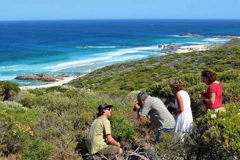 Margaret River Coastal And Wildlife Eco Trip From Busselton Or Dunsborough - Accommodation Mooloolaba 2