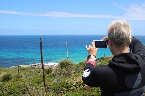 Margaret River Coastal And Wildlife Eco Trip From Busselton Or Dunsborough - Accommodation Mooloolaba 3