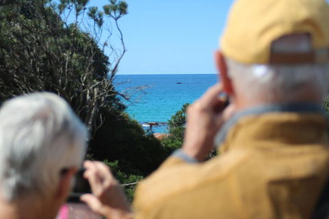 Margaret River Coastal And Wildlife Eco Trip From Busselton Or Dunsborough - Accommodation Mooloolaba 5